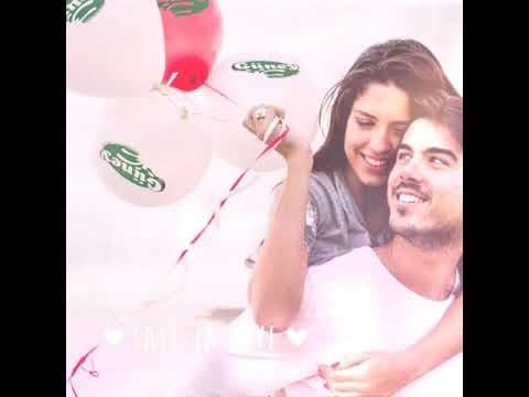 Güneysüt süt ve süt ürünleri