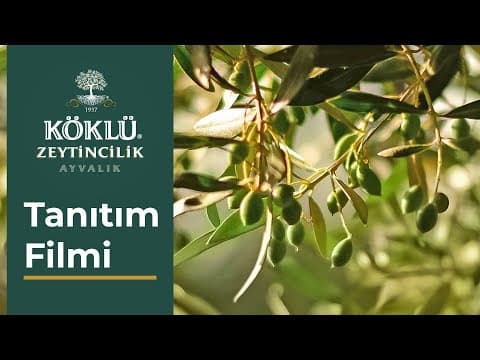 Ayvalık Köklü Zeytincilik - Tanıtım Filmi